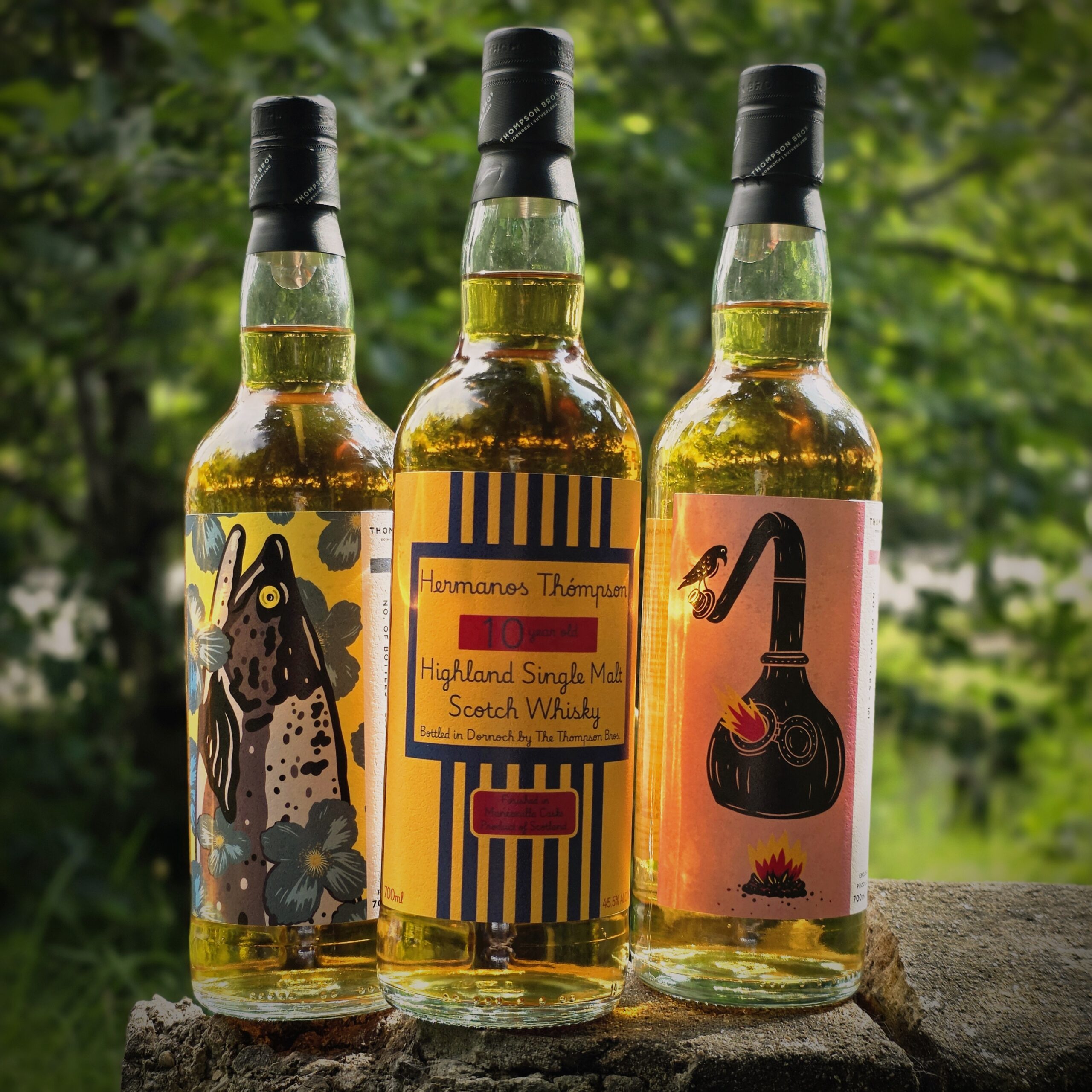 Highland Single Malt Scotch Whisky, 10 Years Old, 70CL, 45.5% ABV - Image 5