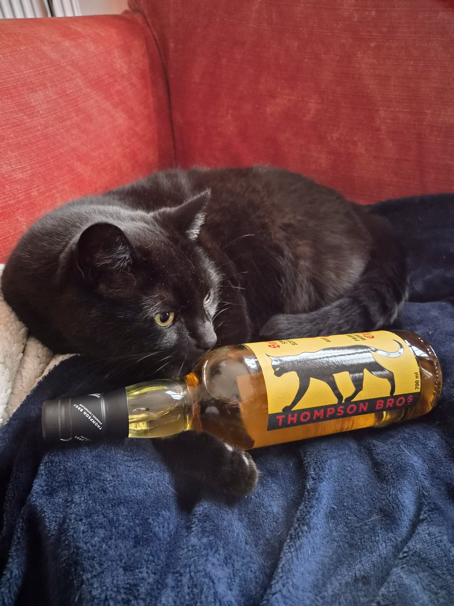 Clynelish Single Malt Scotch Whisky, 8 Years Old, Batch 2, 70CL, 48% ABV - Image 2